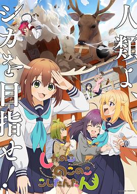 无敌当家